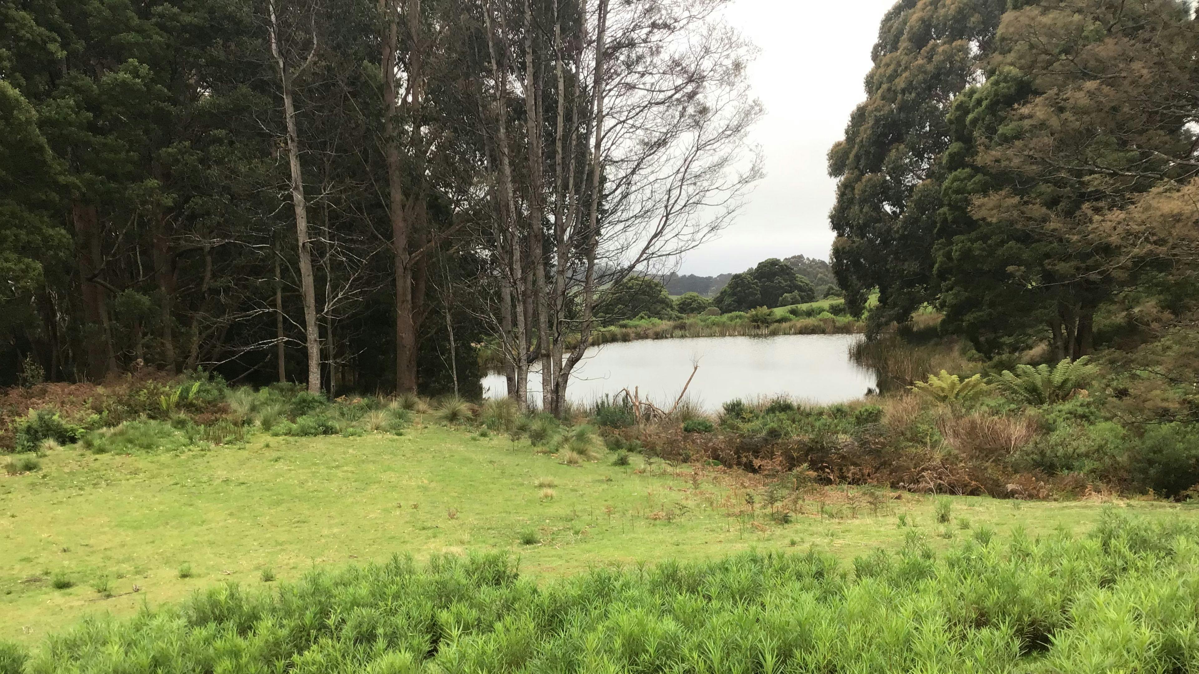 South Preston Dam Camp