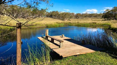 Southern Tablelands Bush Camping