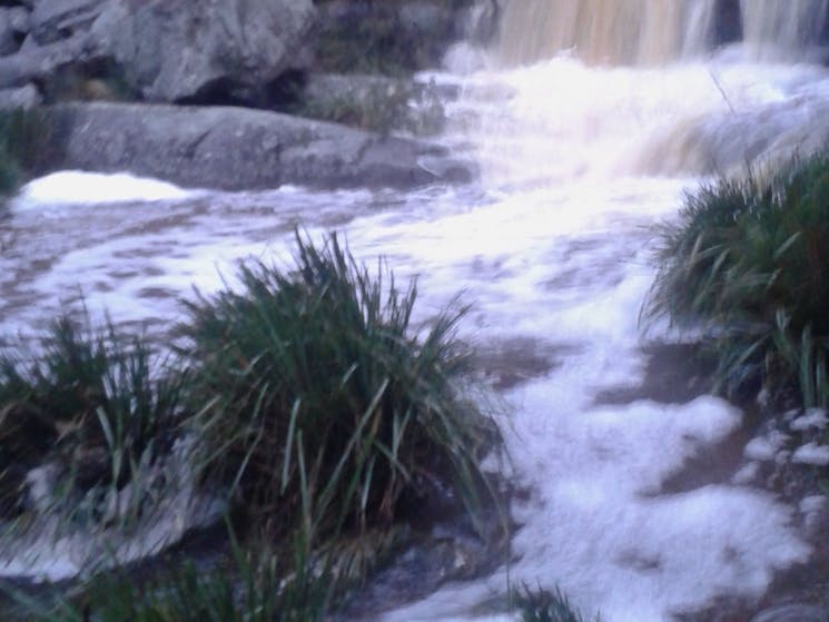 Splitters Swamp Creek Waterfall