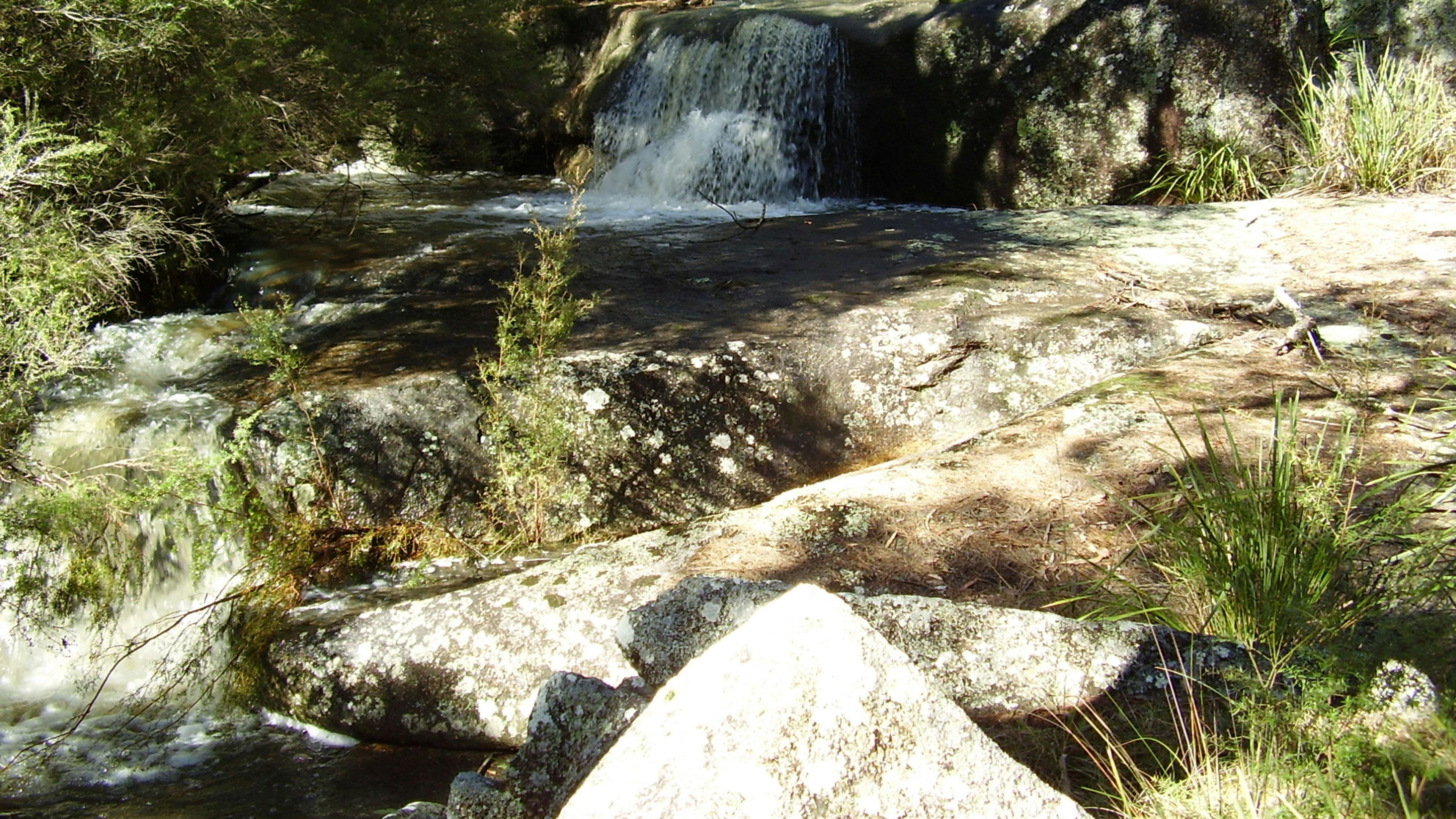 スプリッターズ・スワンプ・クリーク滝