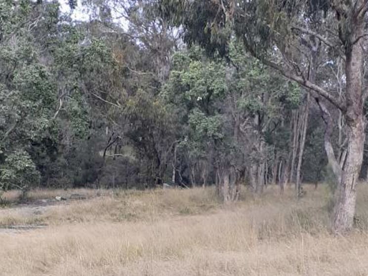 Splitters Swamp Creek Waterfall