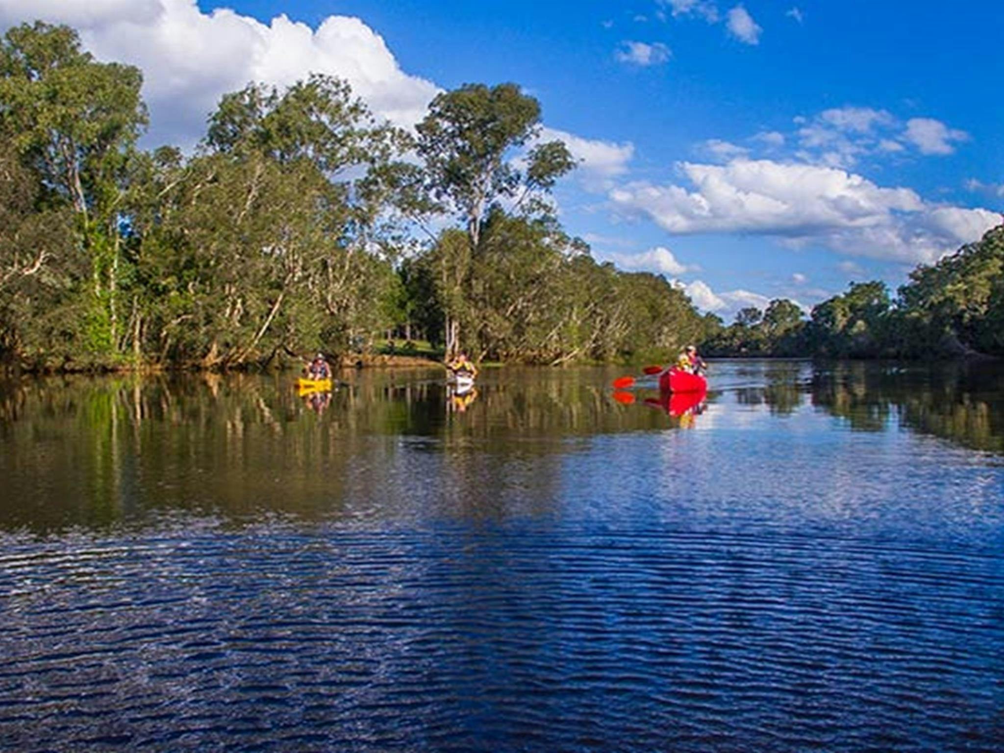 Kayaking down the tree-lined Sportsmans Creek in Everlasting Swamp National Park. Photo: Jessica