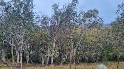 Spring Creek Valley Farm