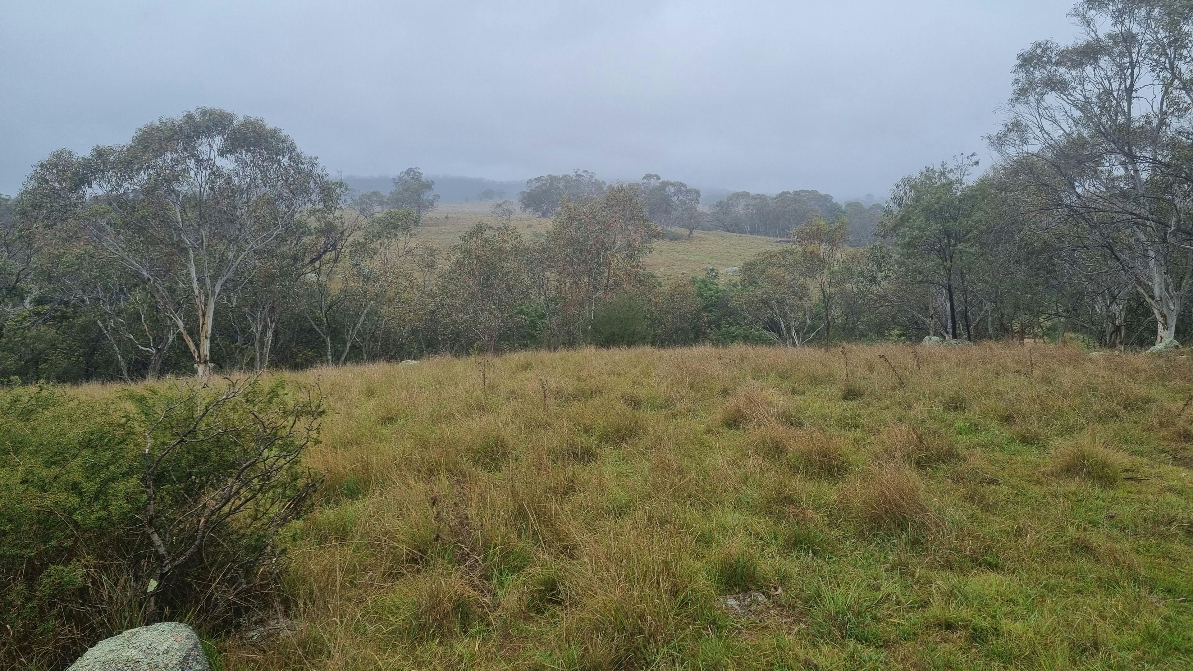 스프링 크릭 밸리 농장