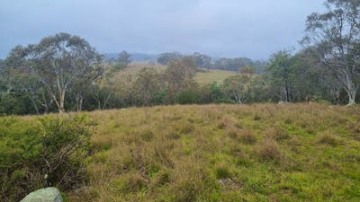 Spring Creek Valley Farm
