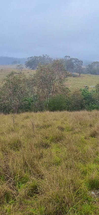 Spring Creek Valley Farm