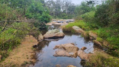Spring Creek Valley Farm