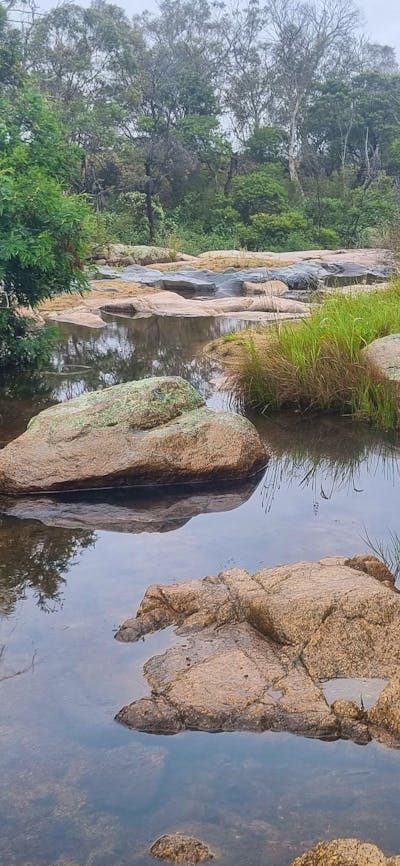 Spring Creek Valley Farm