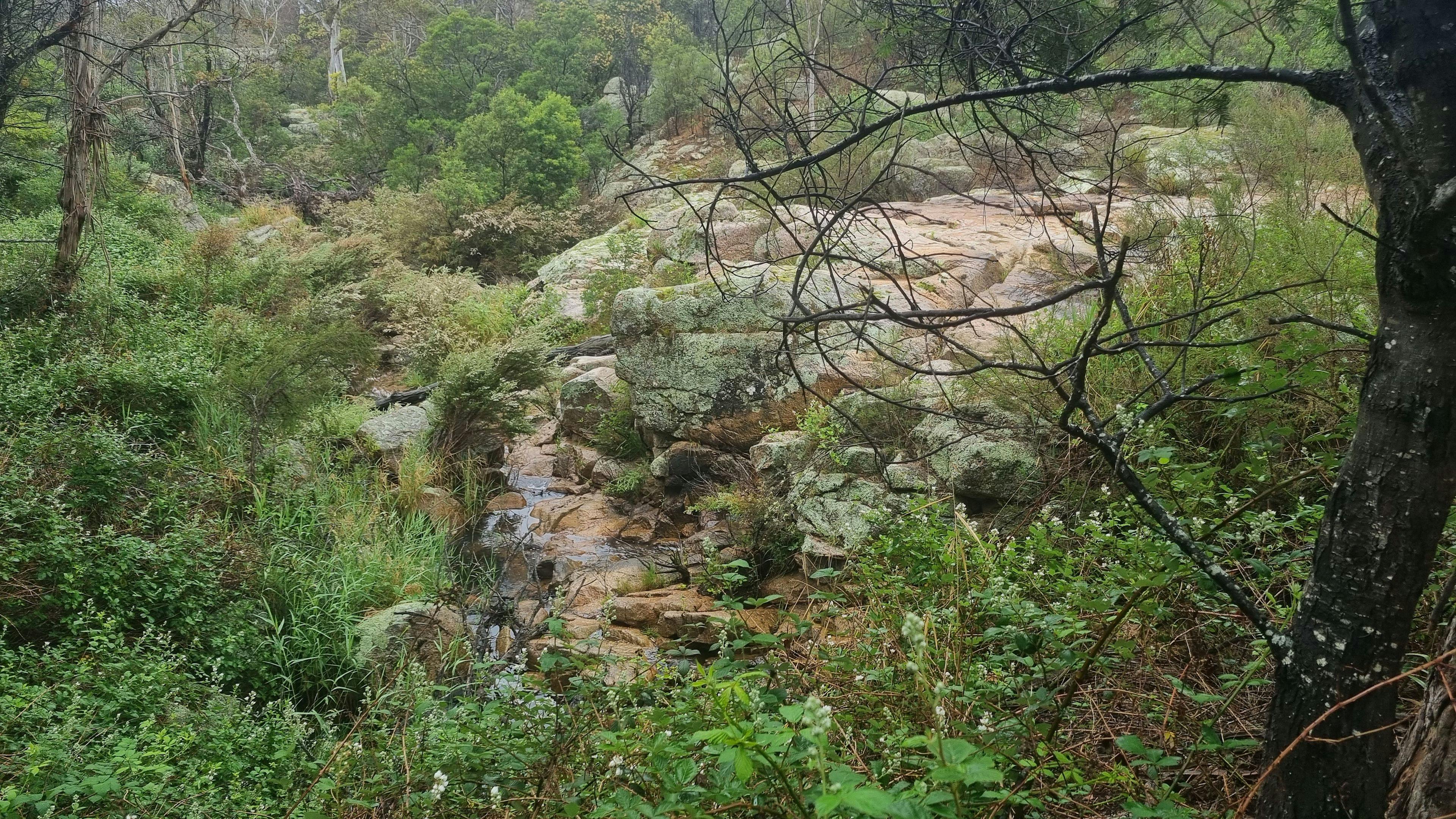 스프링 크릭 밸리 농장