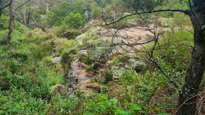 Spring Creek Valley Farm