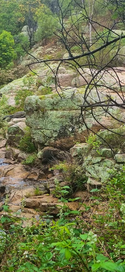 Spring Creek Valley Farm