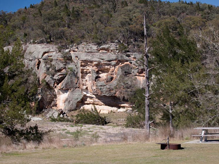 Spring Gully campground, Goulburn River National Park. Photo: Nick Cubbin/NSW Government