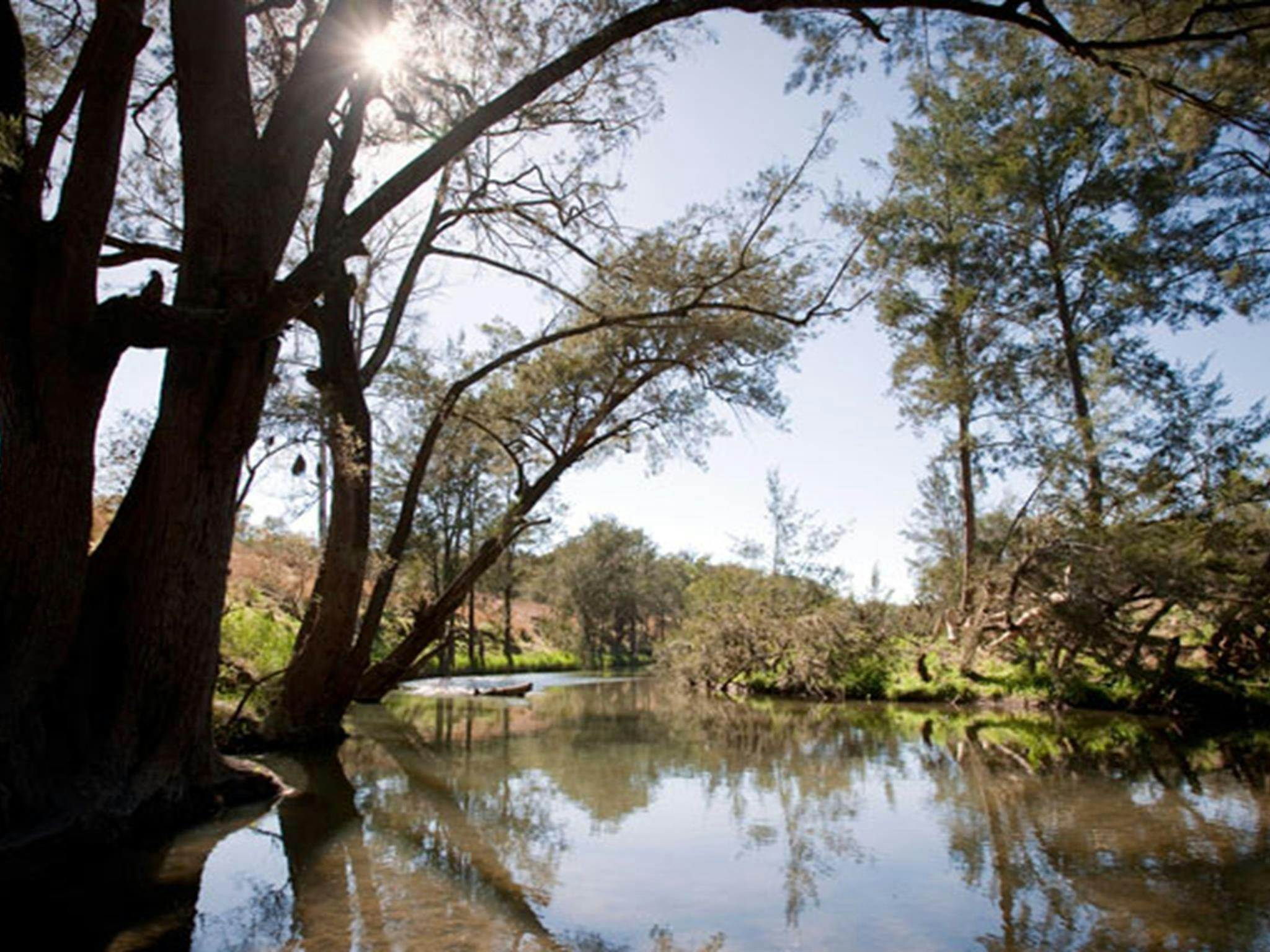 Spring Gully campground, Goulburn River National Park. Photo: Nick Cubbin/NSW Government