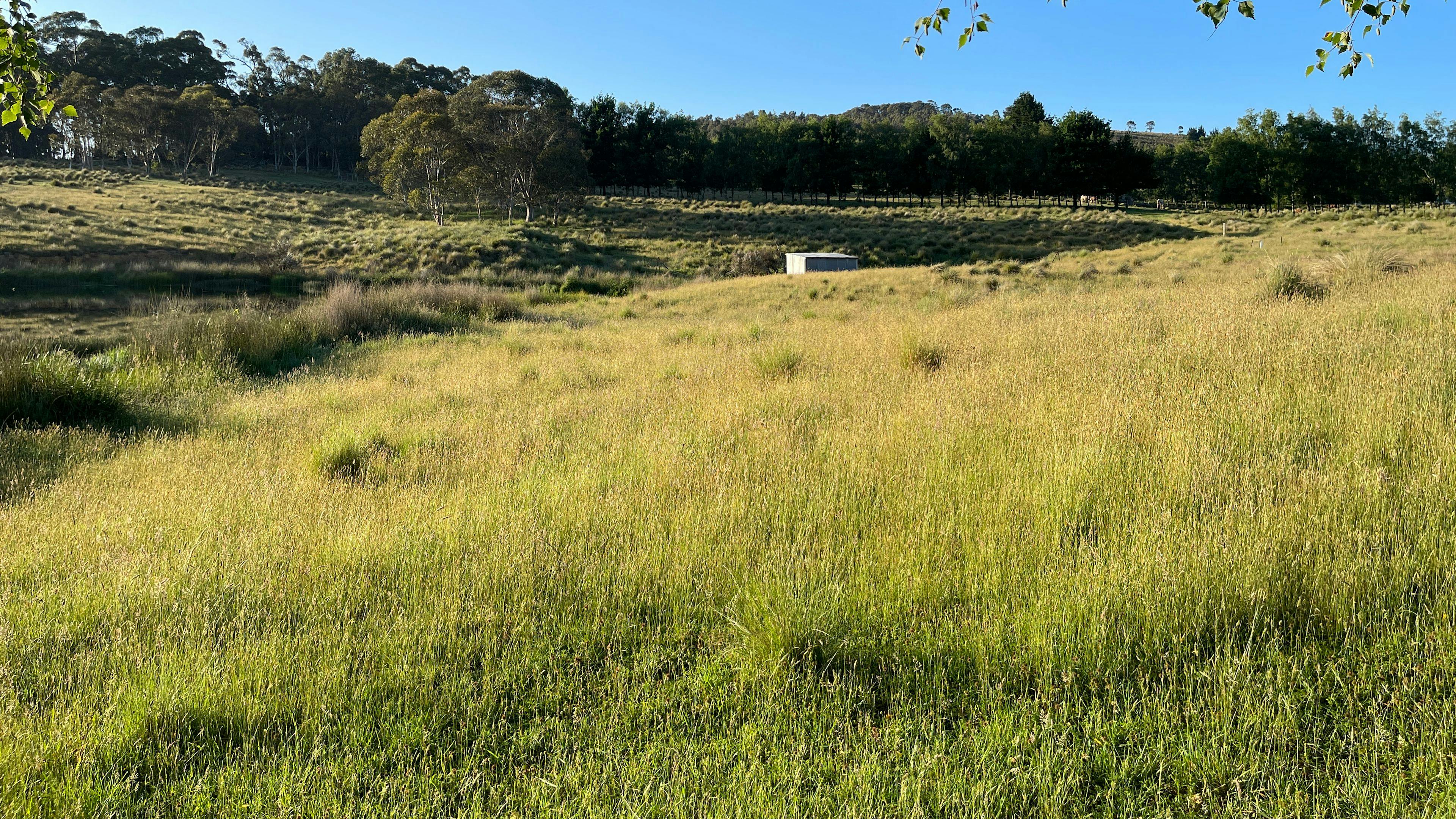 Spring Valley Lifestyle Retreat