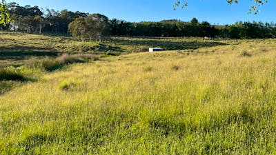 West side of the dam looking toward the South.