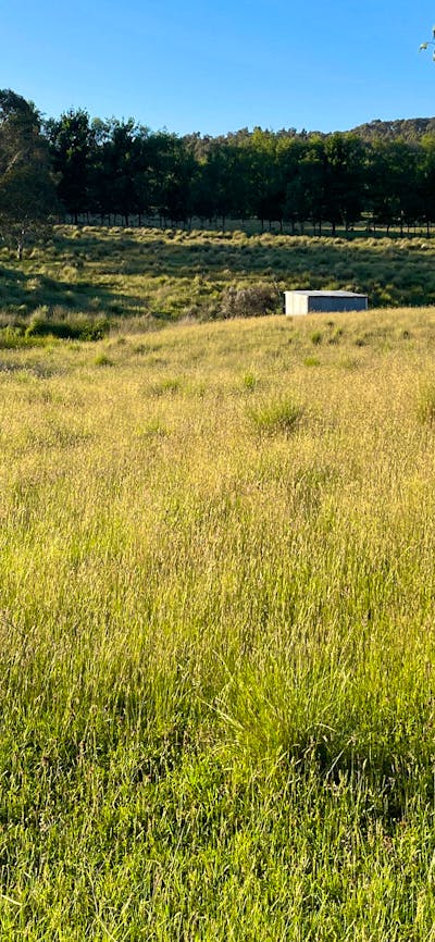 West side of the dam looking toward the South.