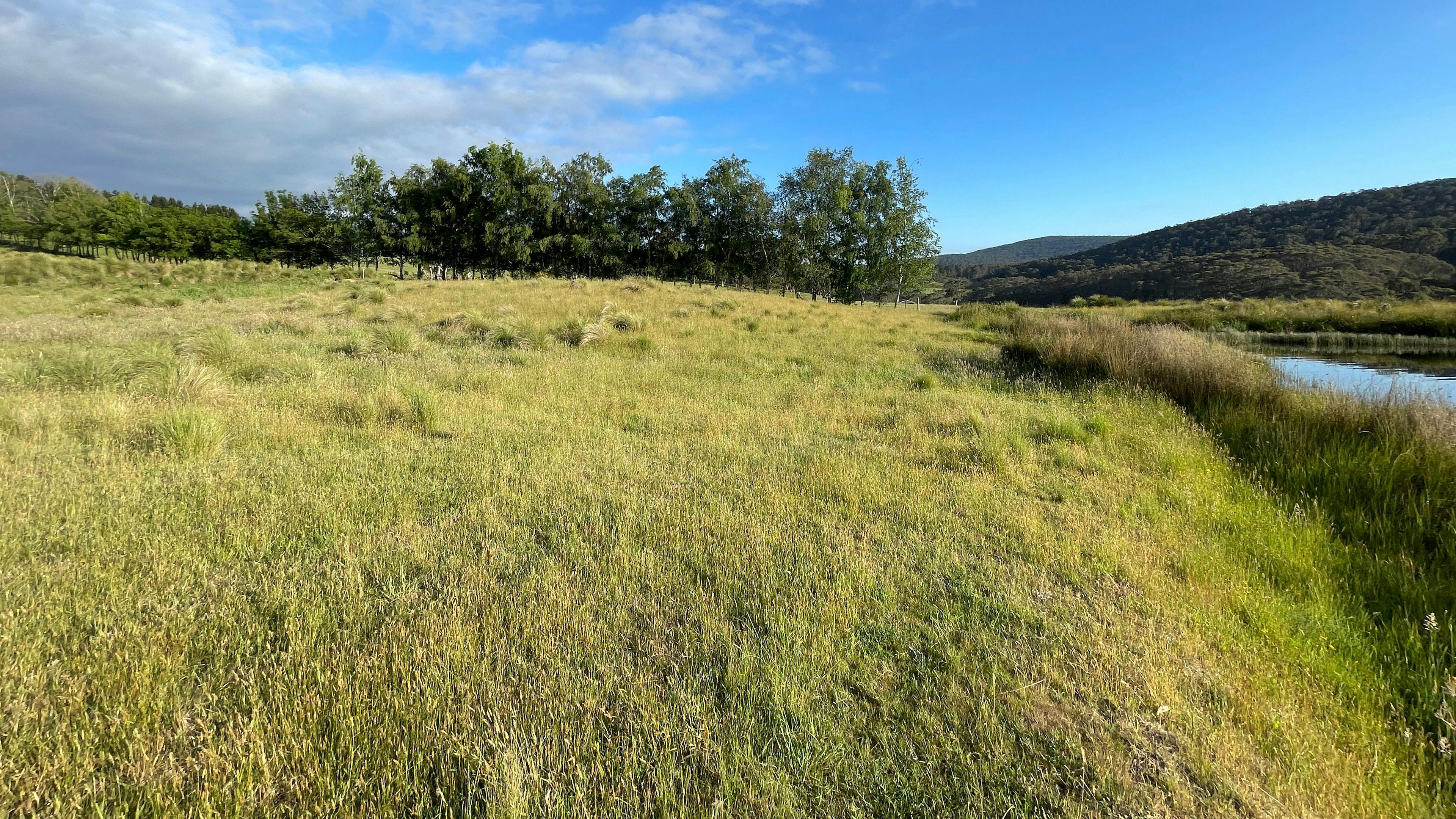 大坝西侧朝北。