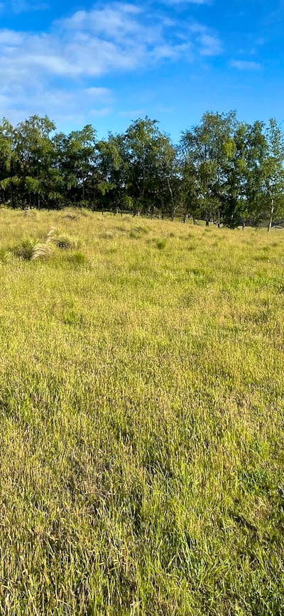 West side of the dam looking North.