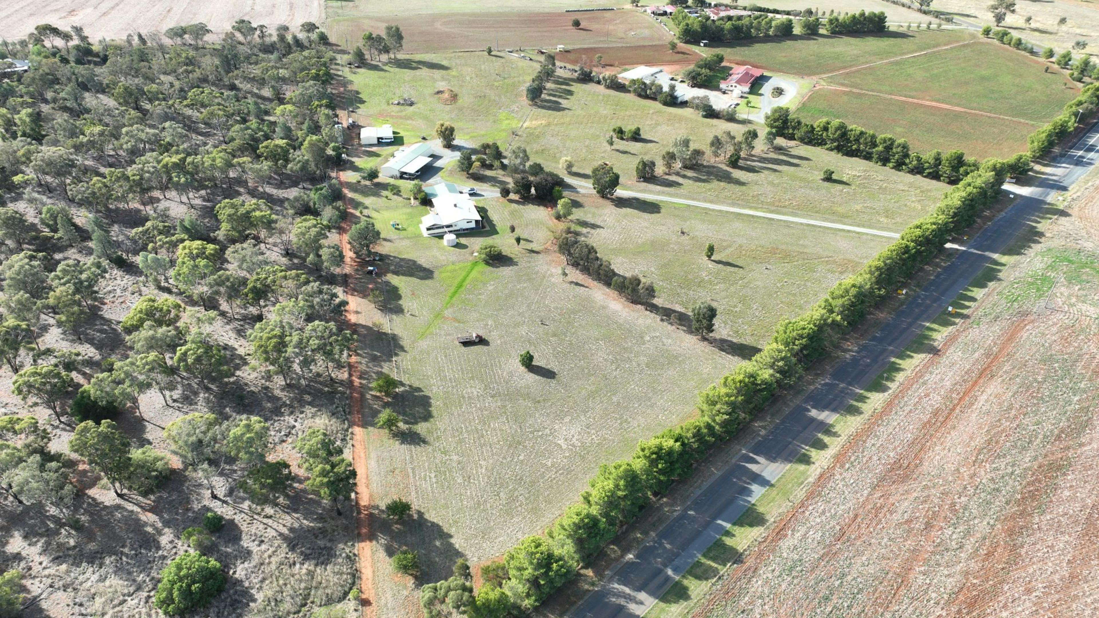 Springvale