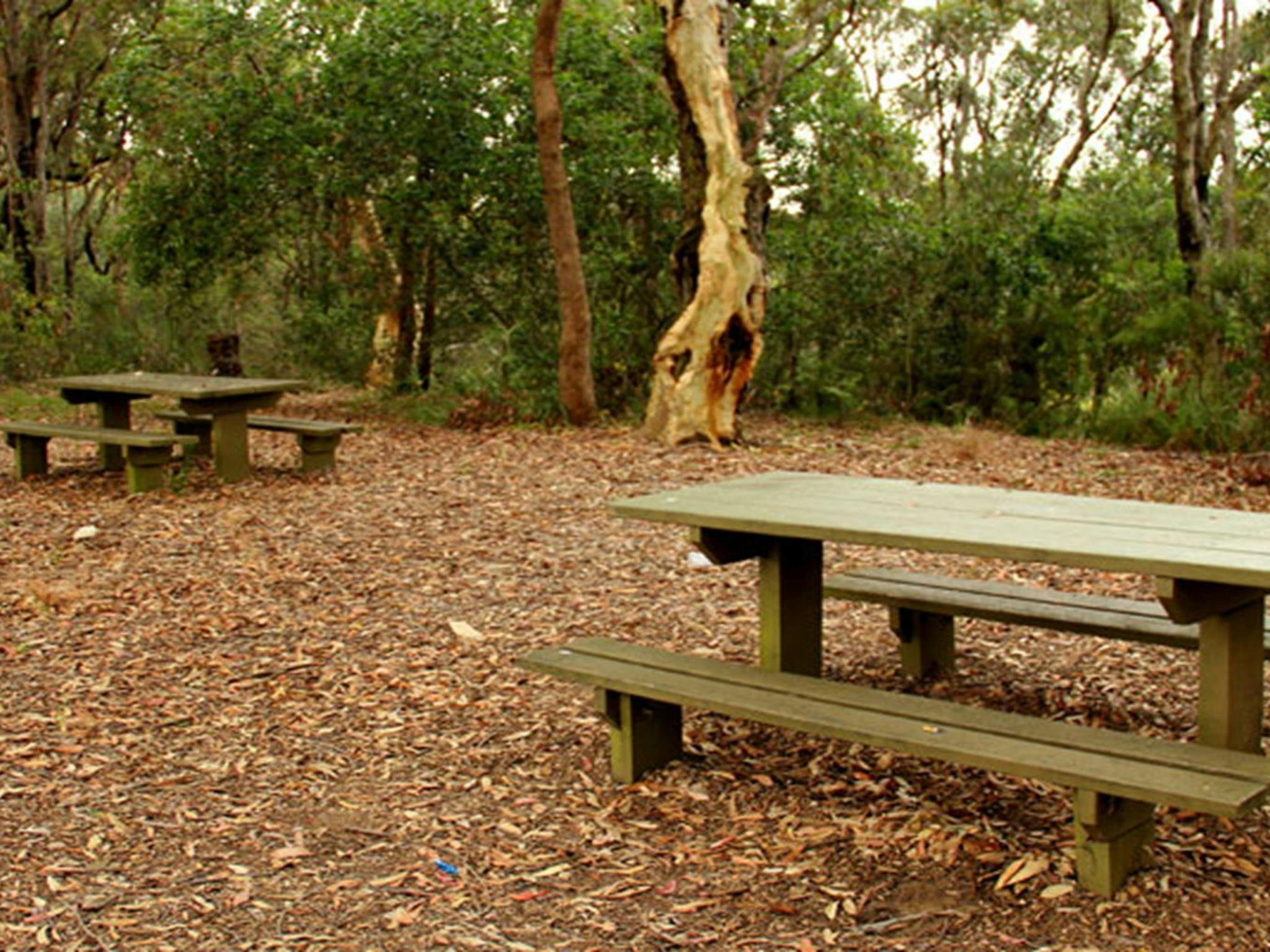 Picnic tables at Staples lookout picnic area. Photo: John Yurasek © DPIE