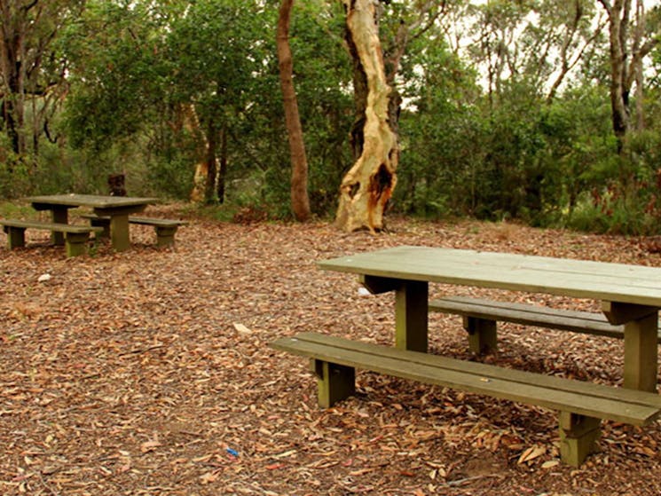 Picnic tables at Staples lookout picnic area. Photo: John Yurasek &copy; DPIE