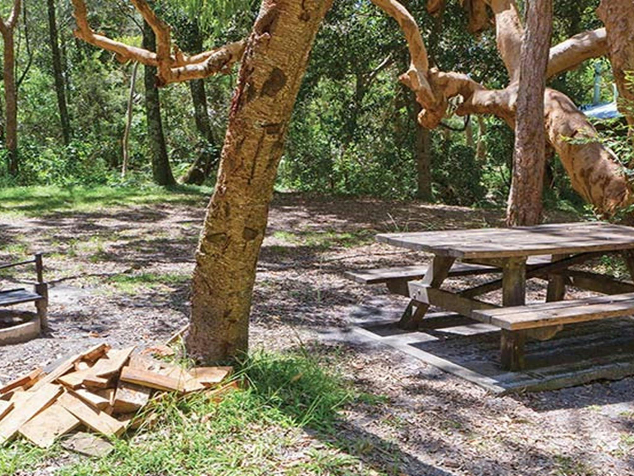 Campingplatz Station Creek, Yuraygir-Nationalpark. Foto: Rob Cleary/DPIE