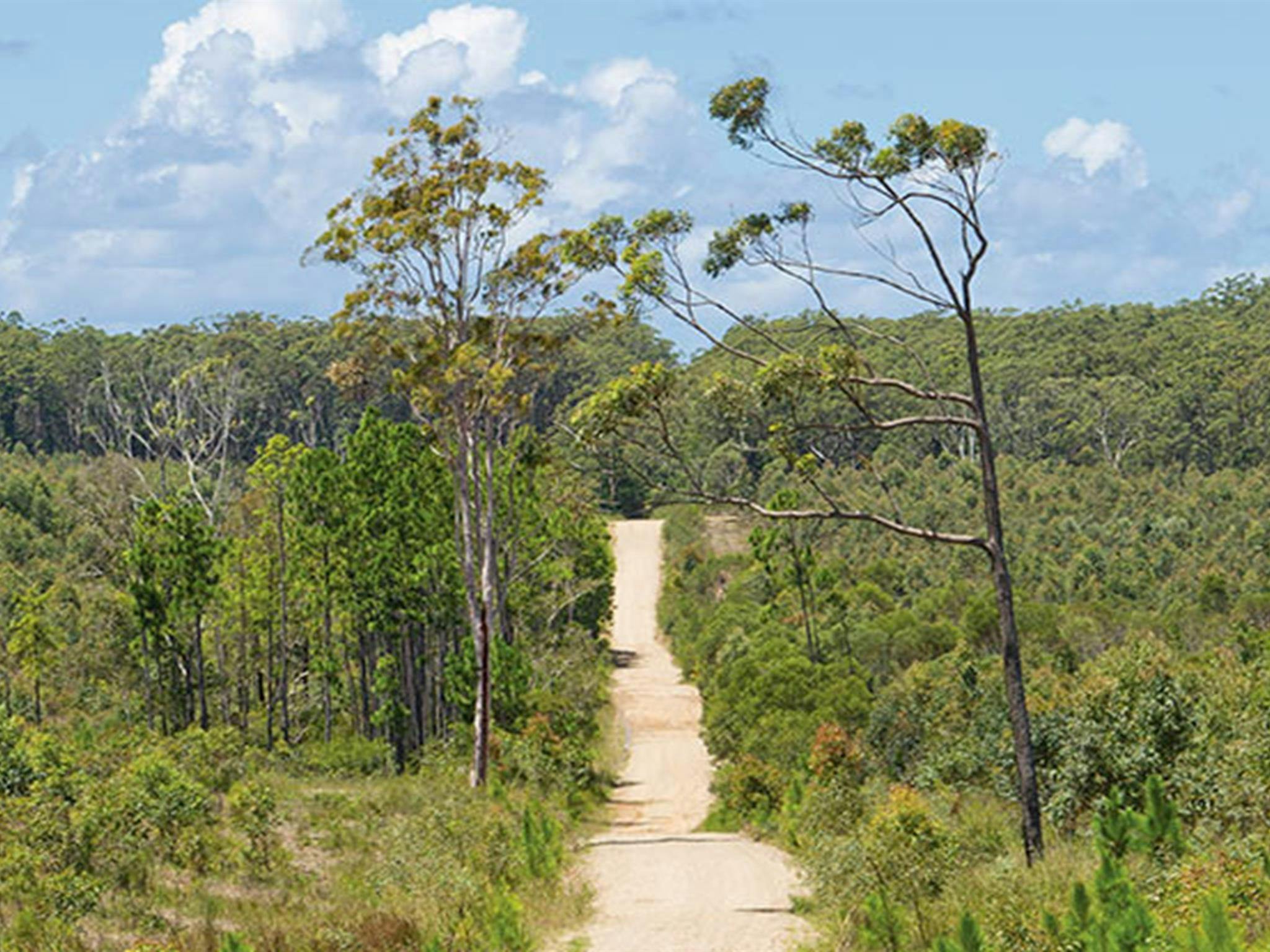 Campingplatz Station Creek, Yuraygir-Nationalpark. Foto: Rob Cleary/DPIE