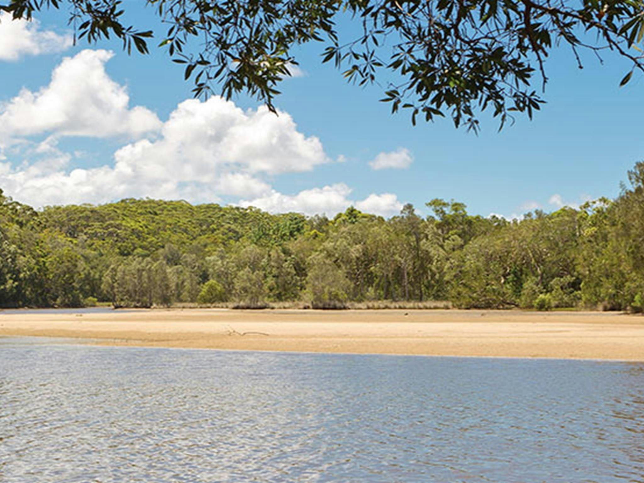 Campingplatz Station Creek, Yuraygir-Nationalpark. Foto: Rob Cleary/DPIE