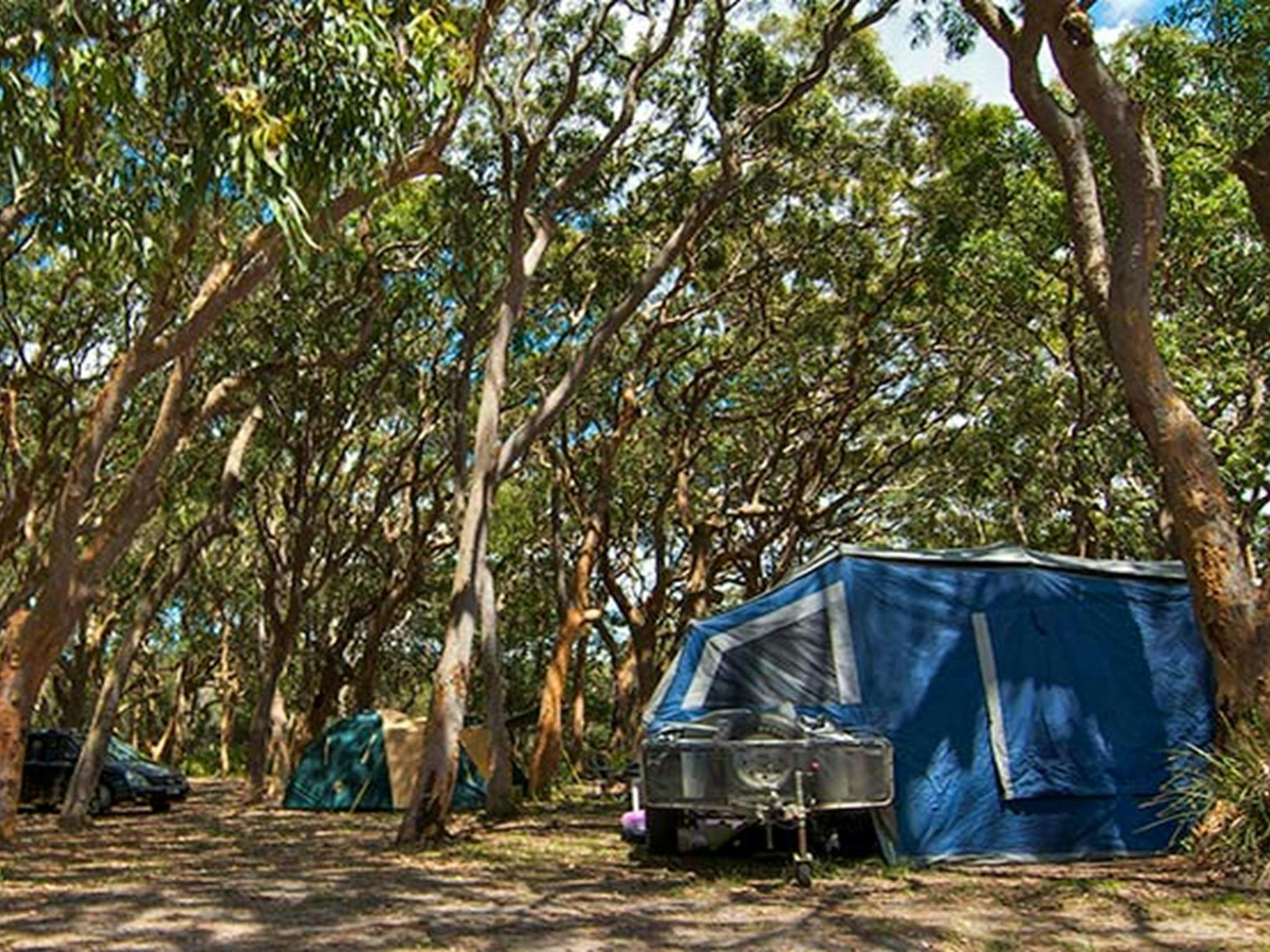 Stewart and Lloyds campground, Myall Lakes National Park. Photo: John Spencer/NSW Government
