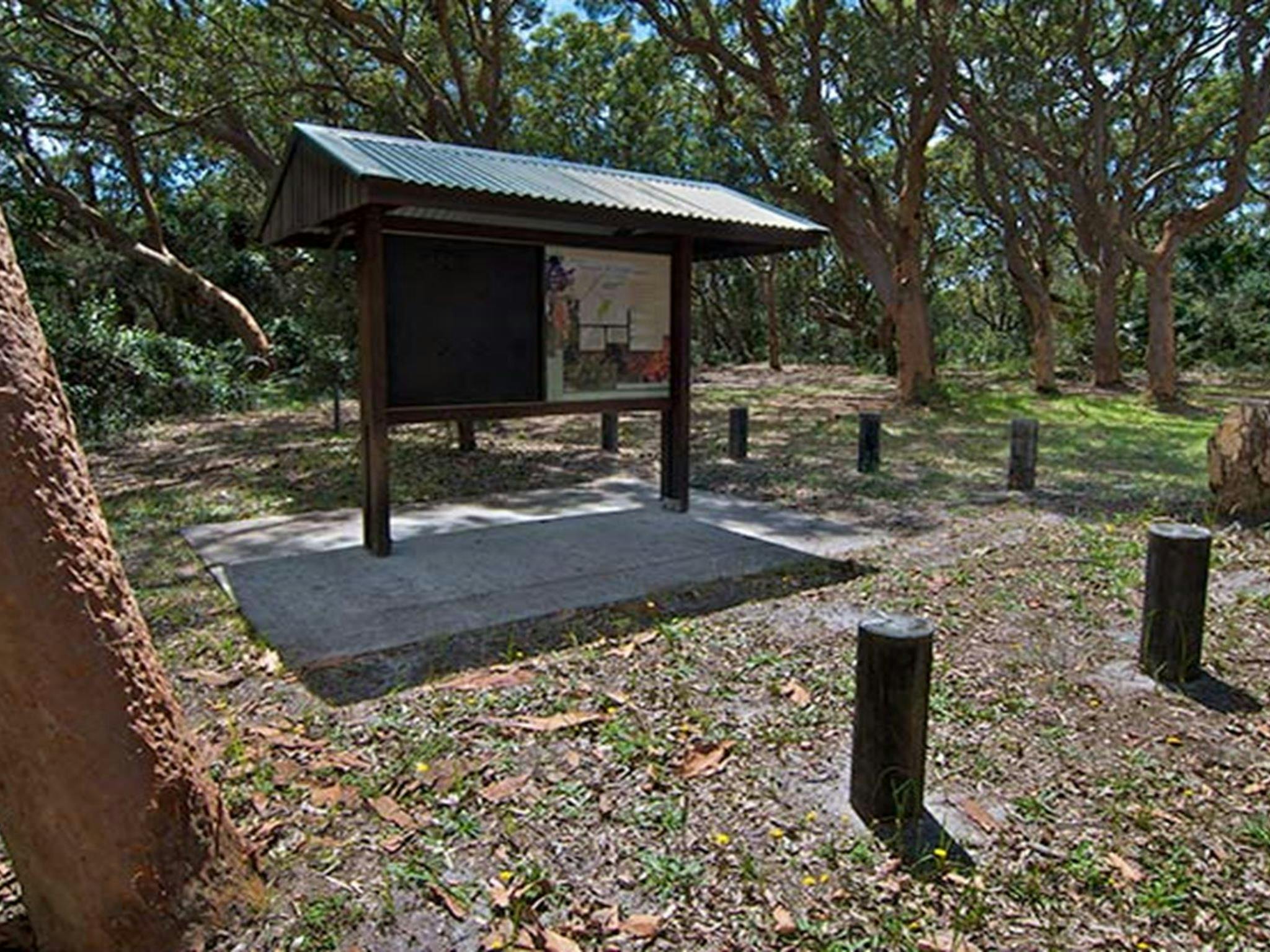 스튜어트 앤 로이드 캠핑장 마이올 레이크스 국립공원. 사진: 존 스펜서/NSW 정부