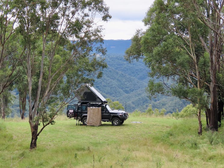 Flat mowed large campsite with stunning views of the Blue Mountains..