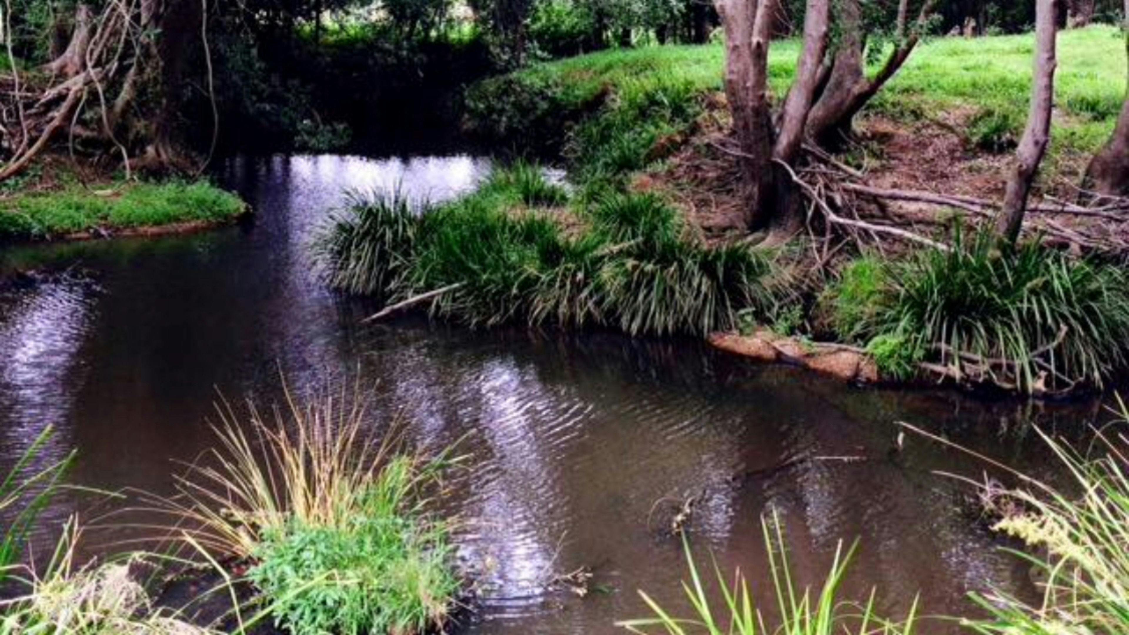 ストーカーズ クリークサイド ステイ