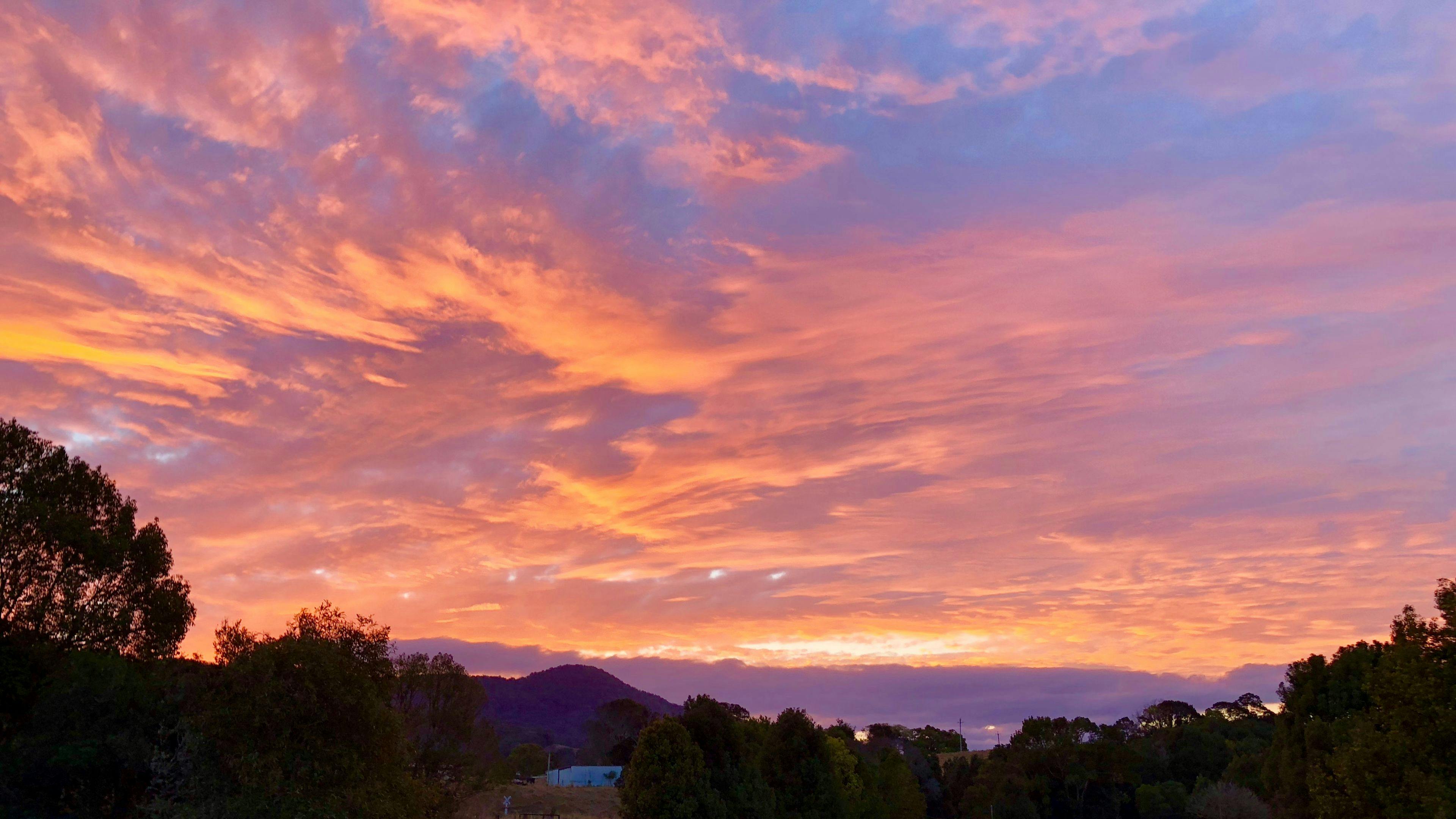 ストーカーズ クリークサイド ステイ