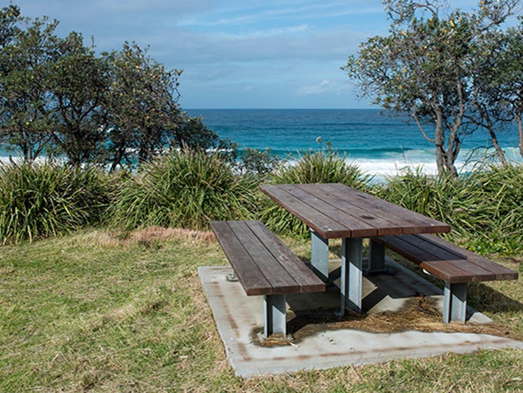 Picnic tables located at Stokes Island picnic area. Photo: Michael van Ewijk/OEH