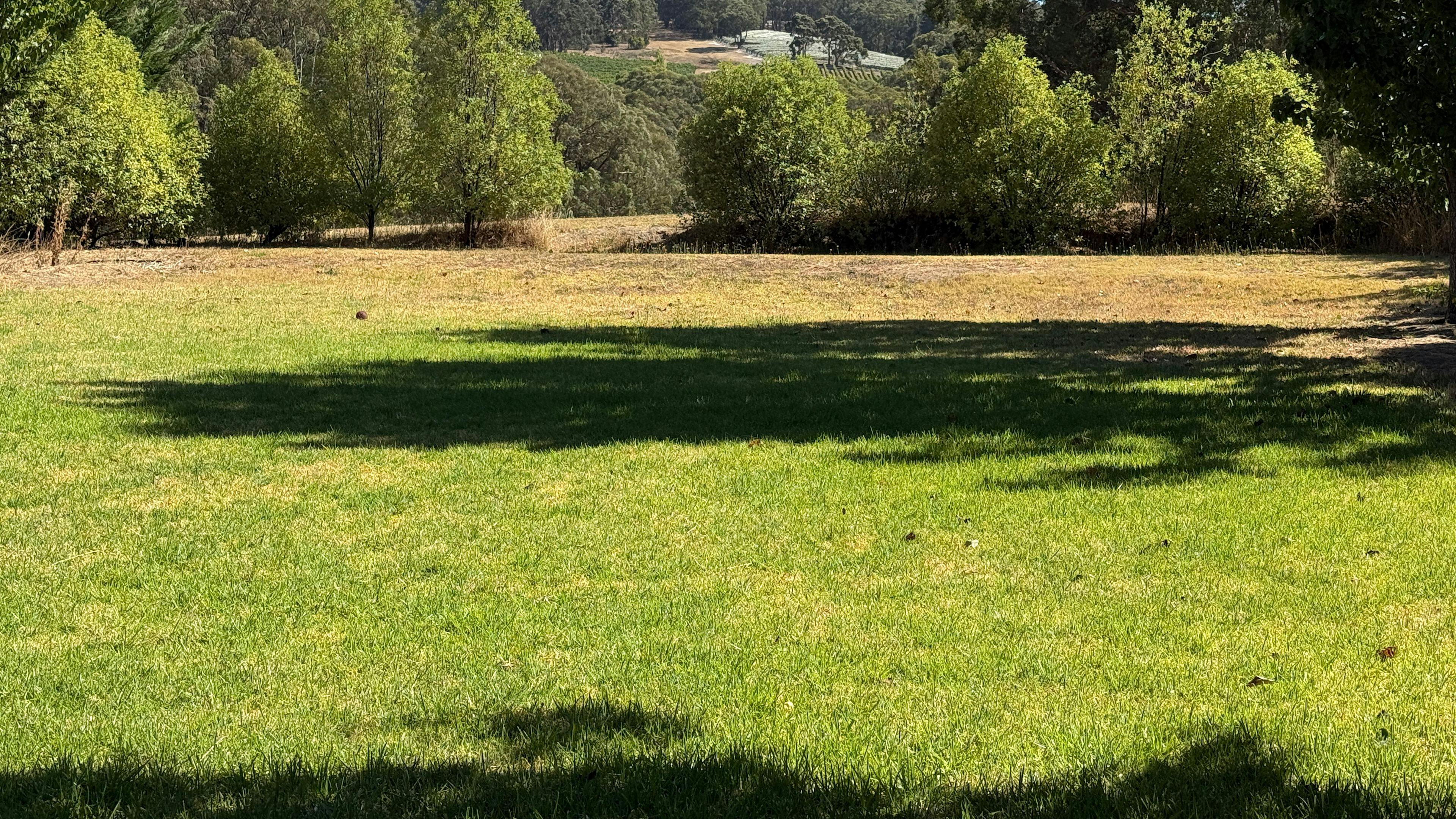 Stone’s Summertown Cherry Farm
