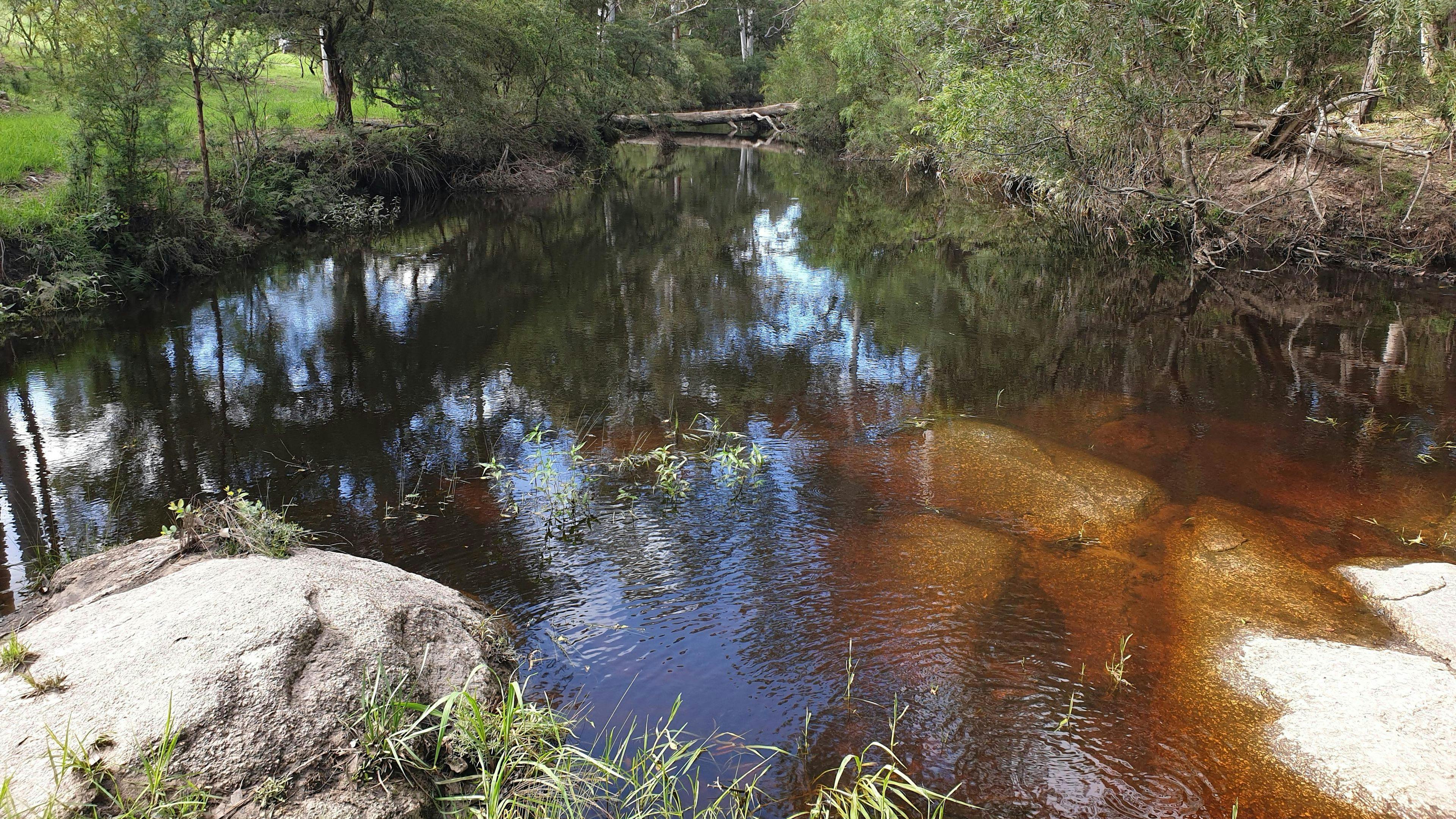 ブックオカララ クリーク キャンプ場