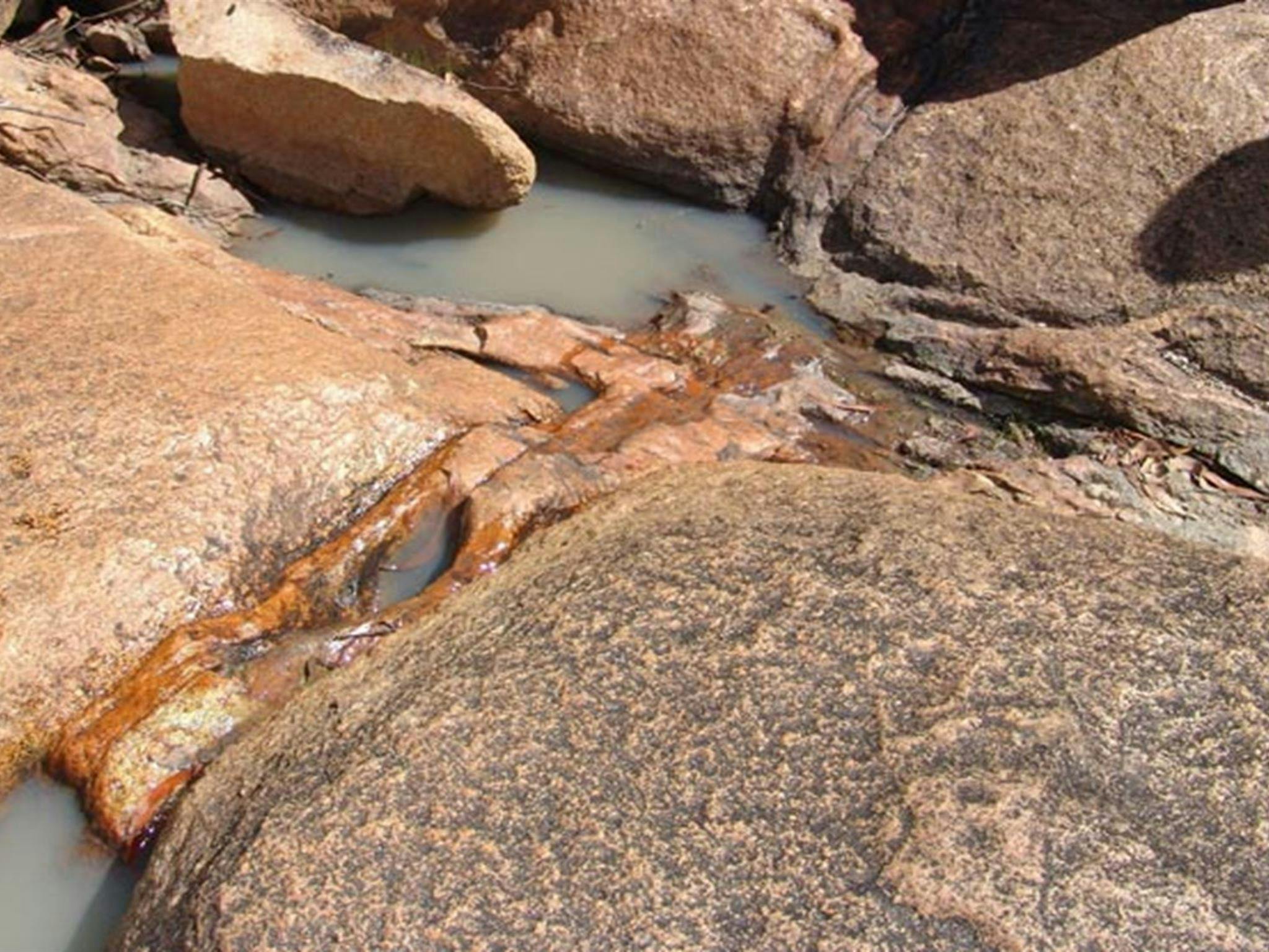 Stonewoman Aboriginal Area. Photo: NSW Government