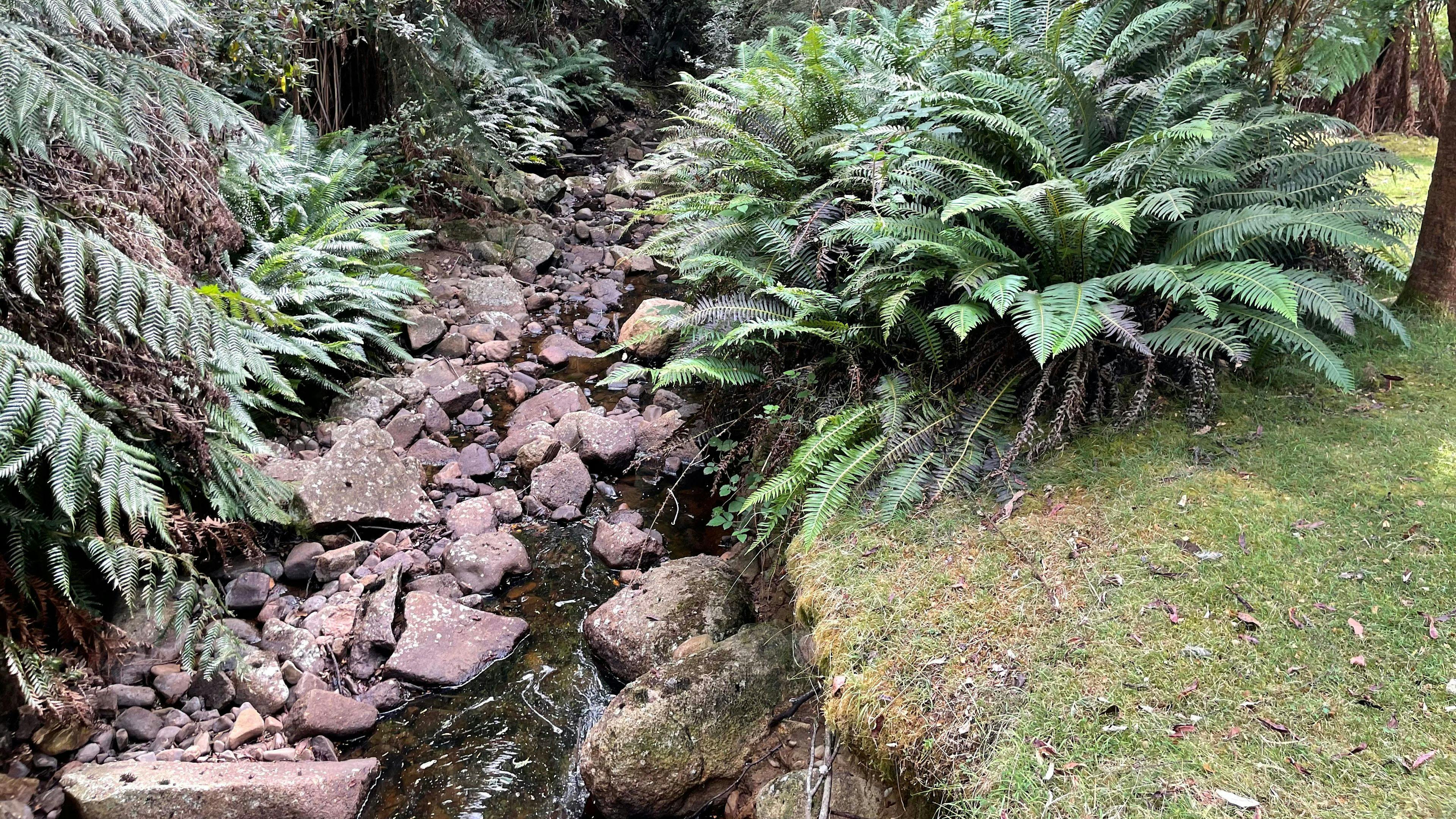 fresh water stream