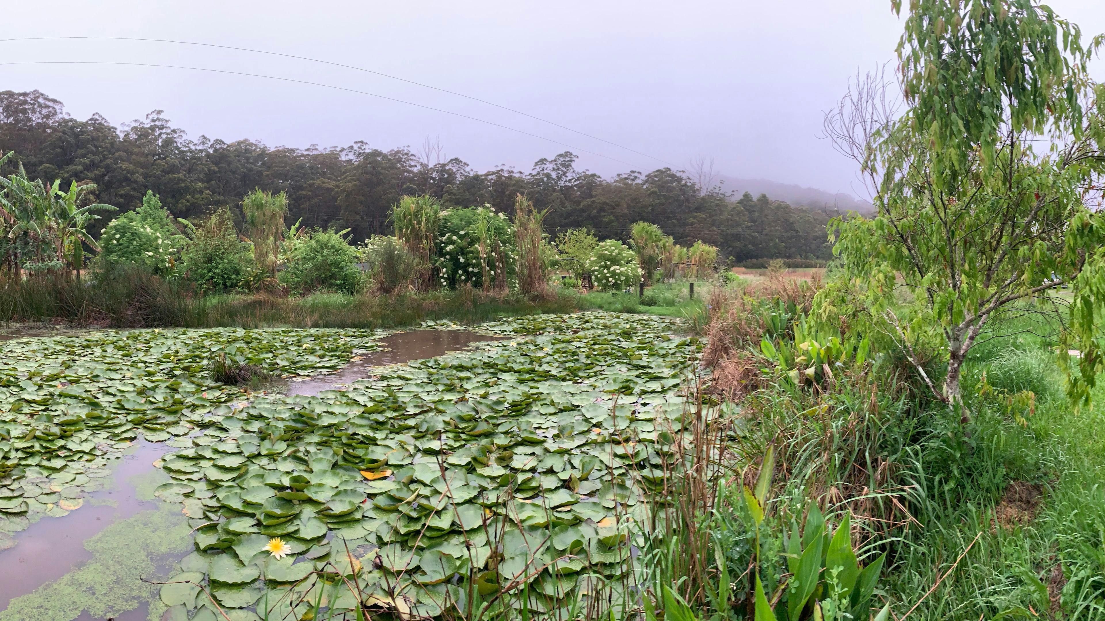 스토니크릭 보호구역 메리지그 농장