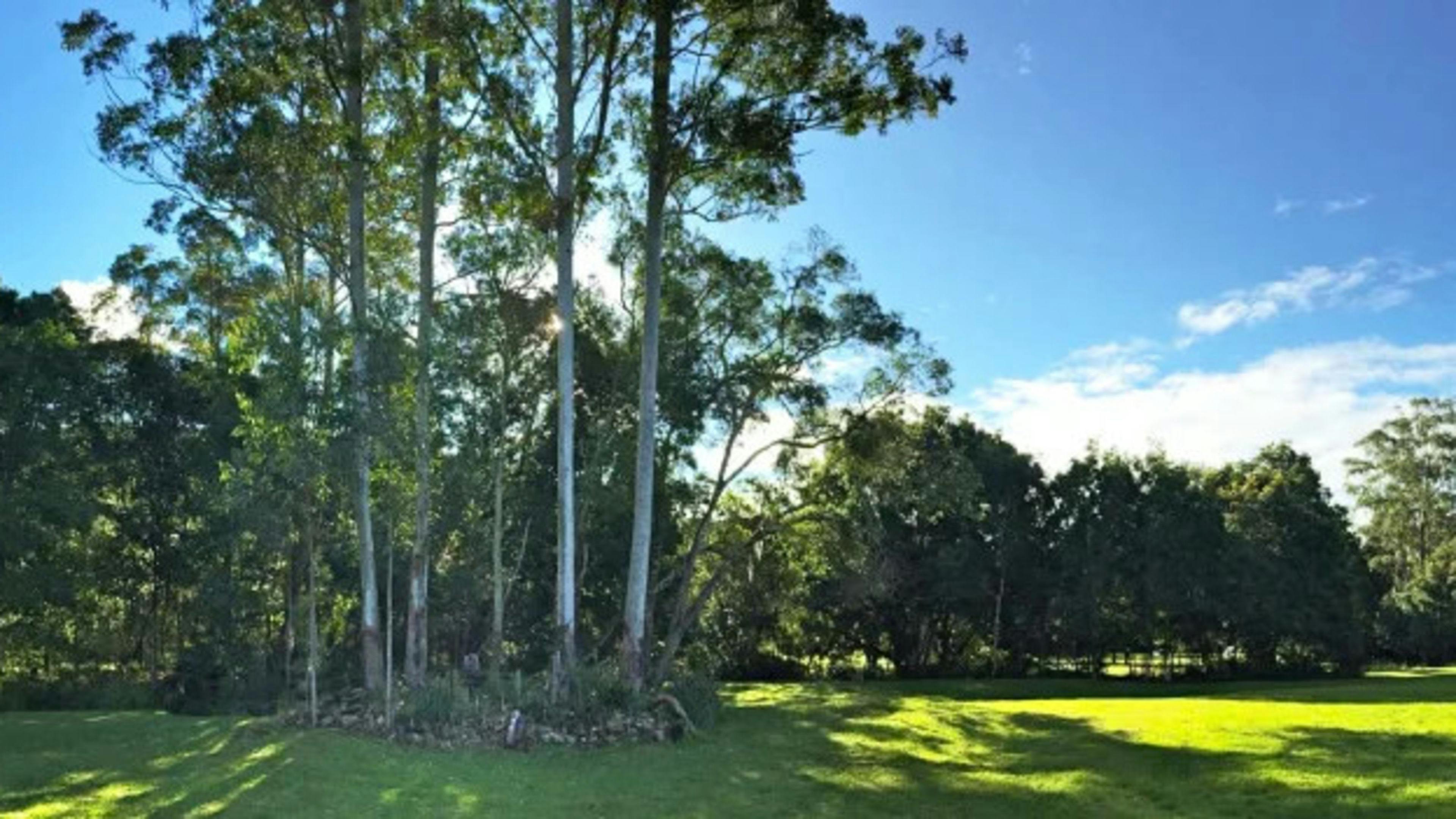스토니크릭 보호구역 메리지그 농장