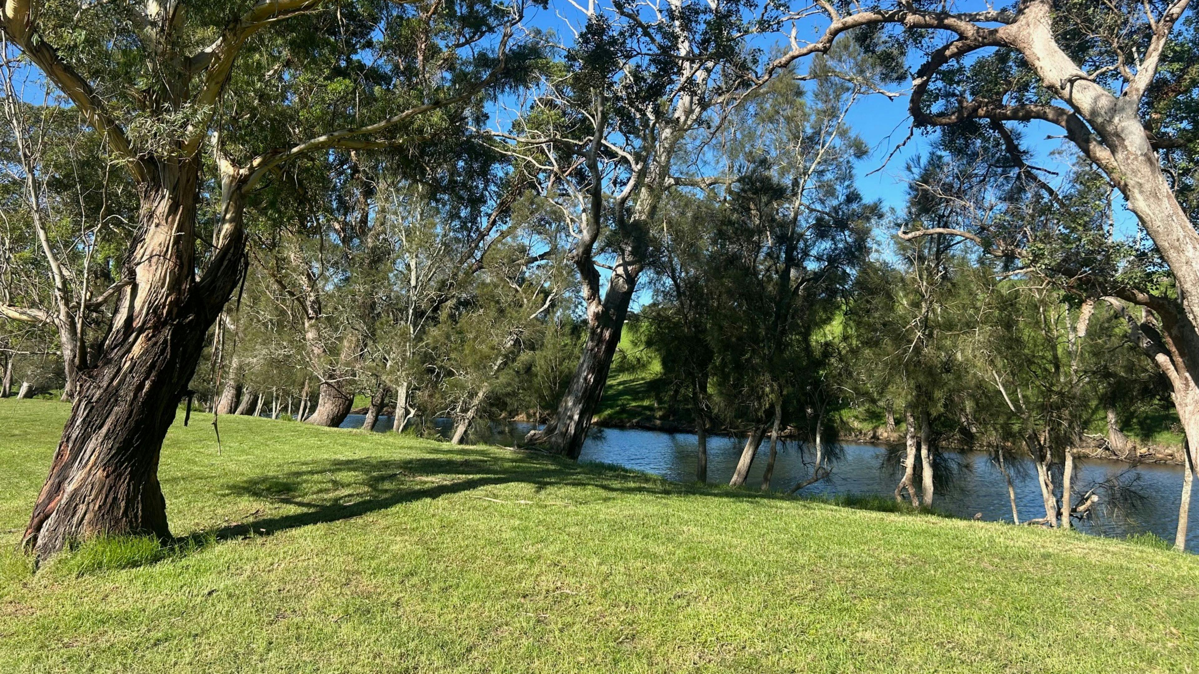 Stony Creek Camping