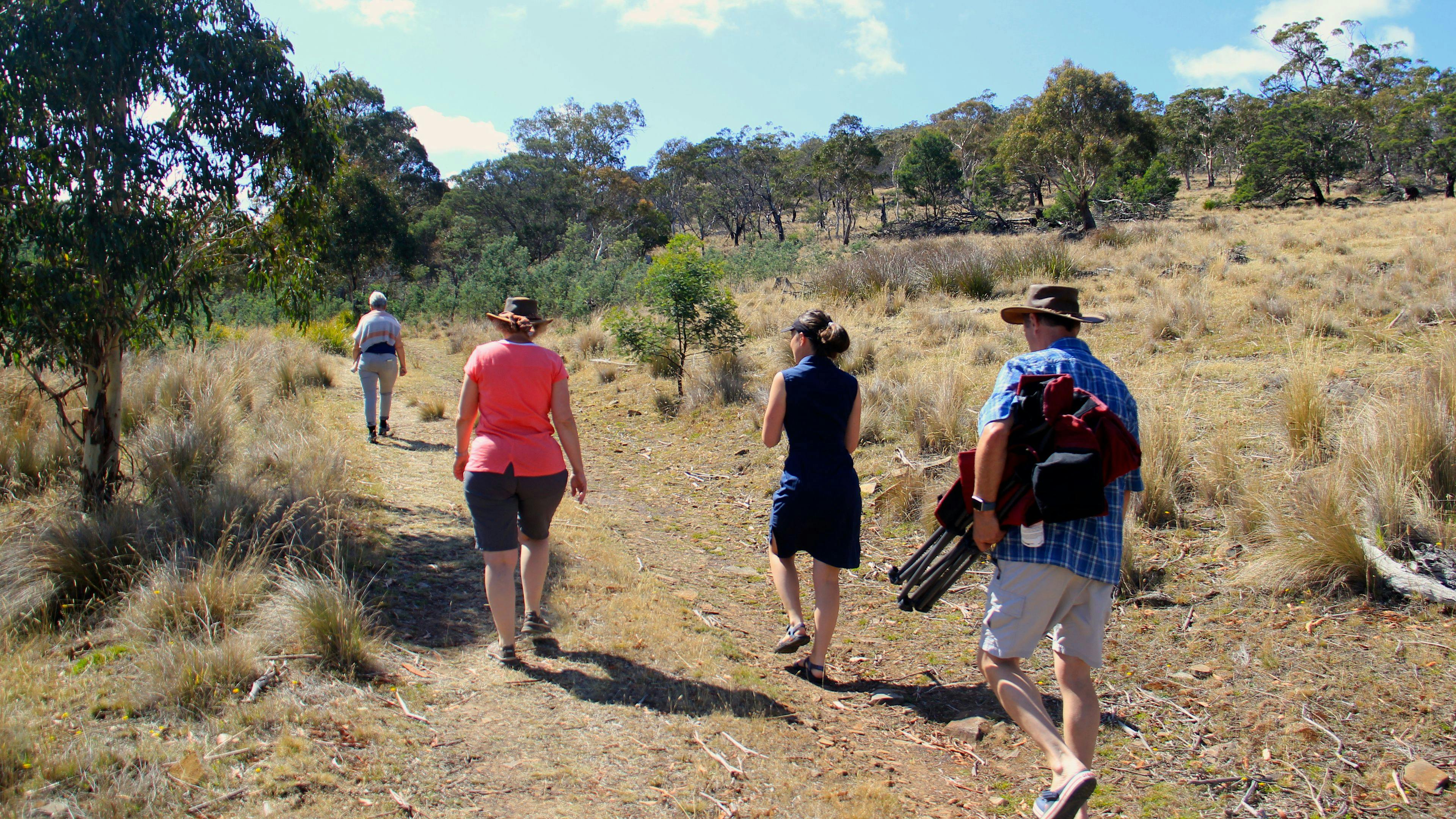 Bushwalking on the property