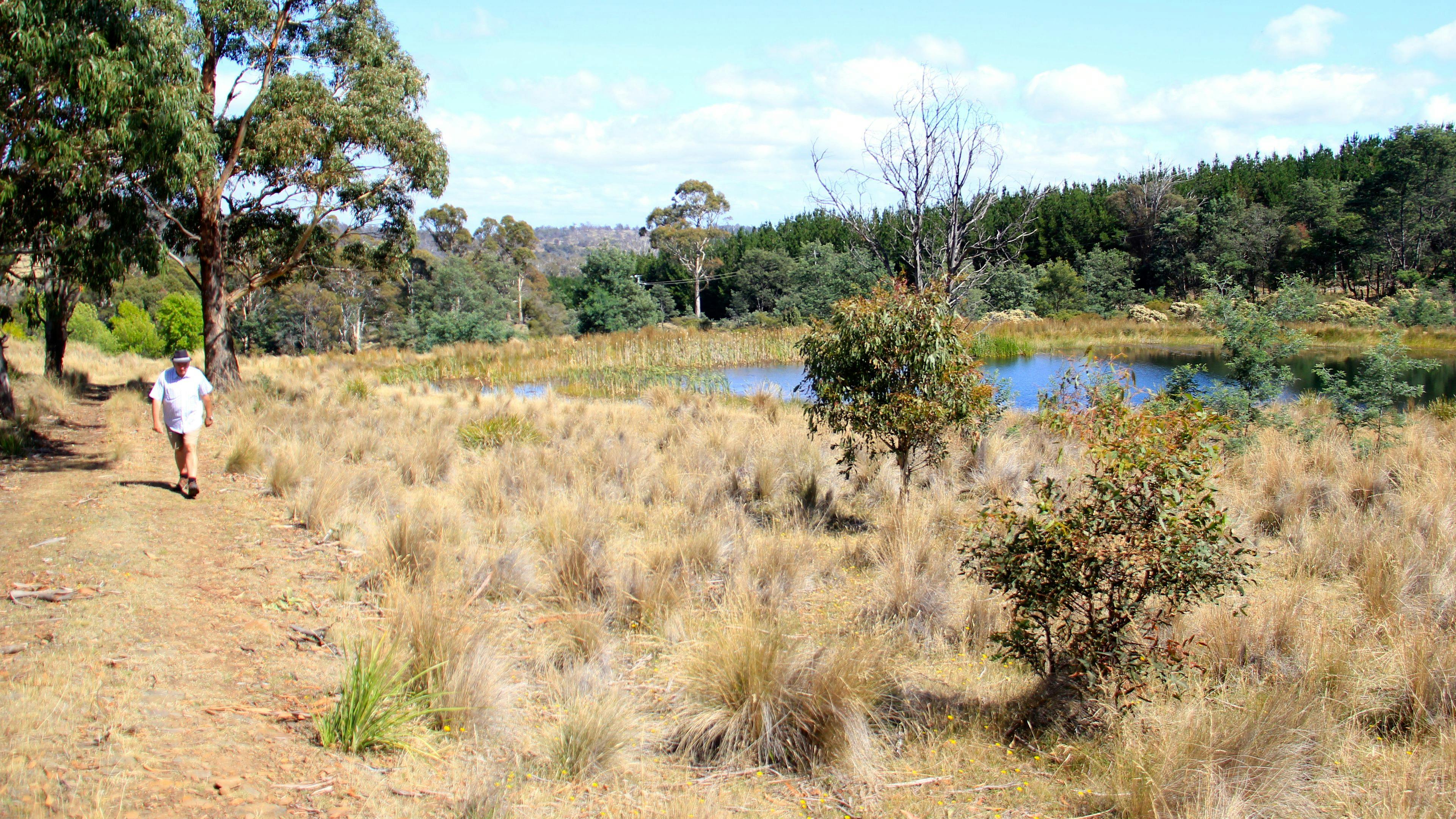 Walking up The Valley.