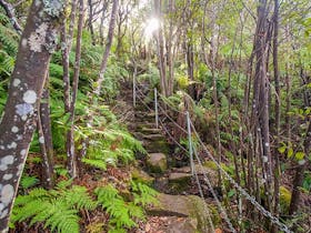 Sublime Point walking track