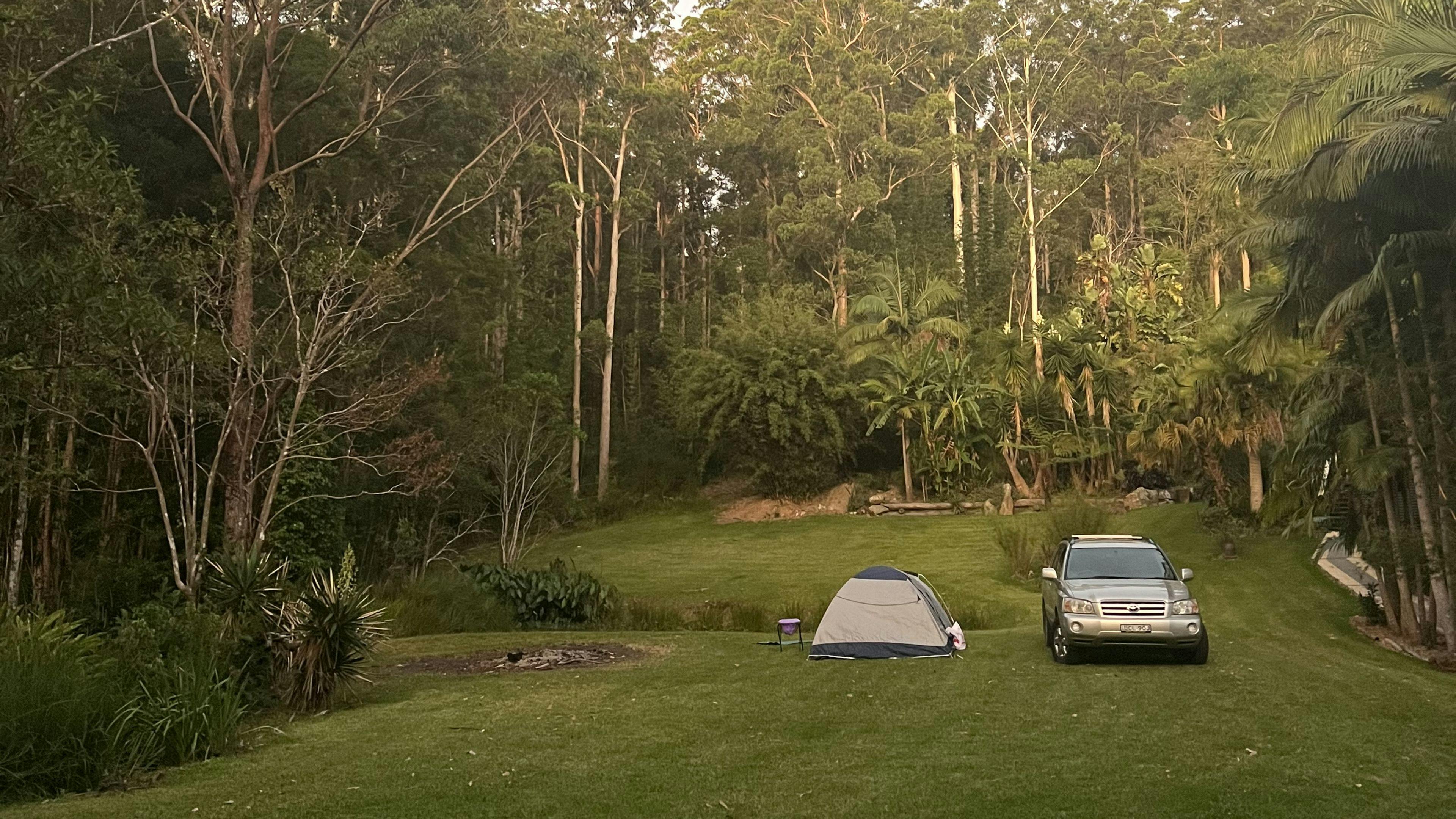 Sugar Creek Dream. Rainforest Oasis