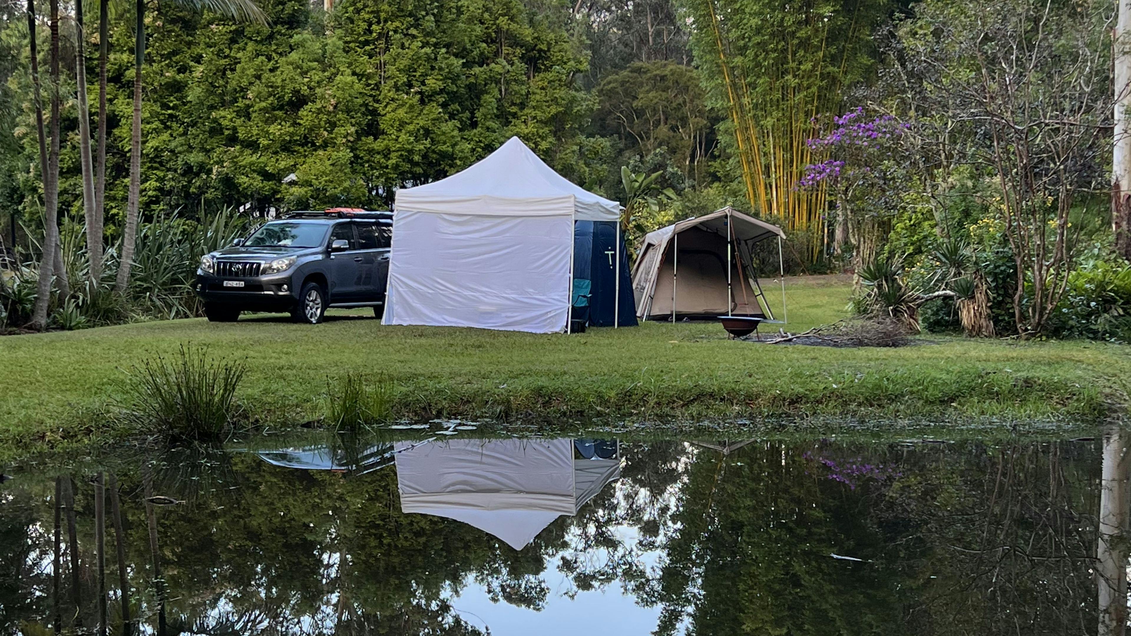 Sugar Creek Dream. Rainforest Oasis