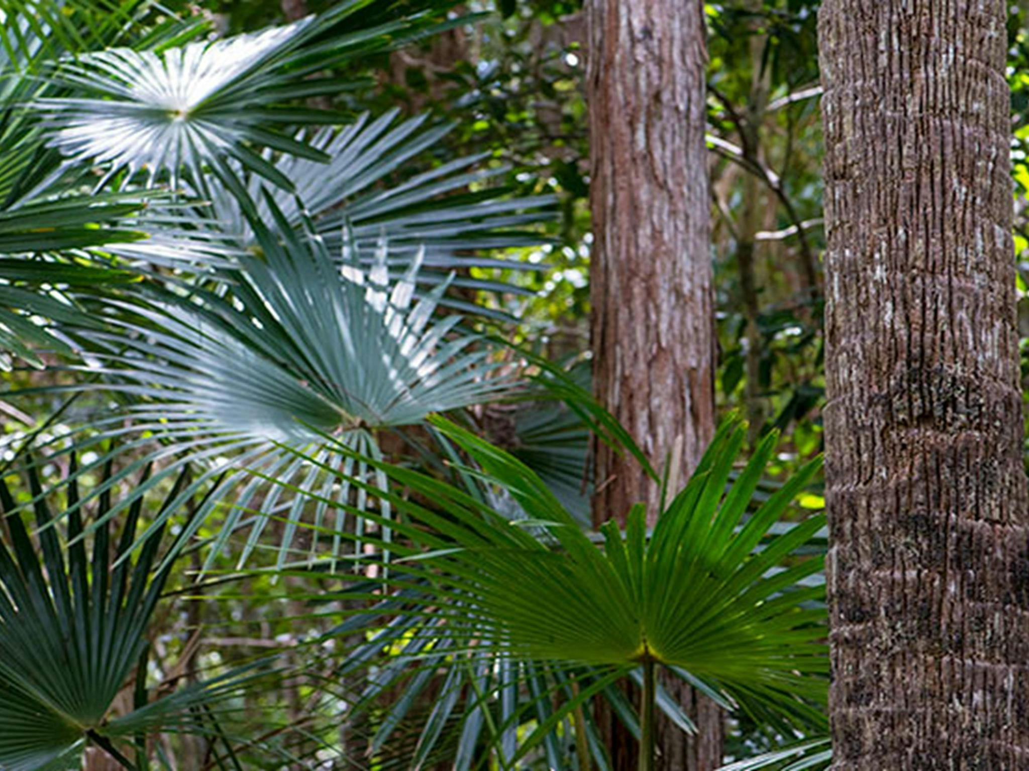 Picknickplatz Sugar Creek