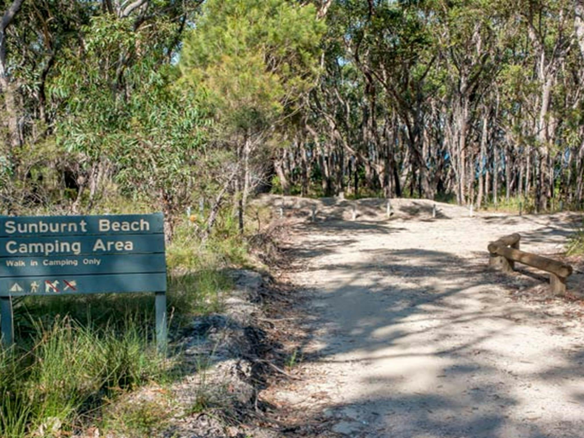 Sunburnt Beach Campground, Meroo Nationalpark. Foto: Michael van Ewijk/OEH