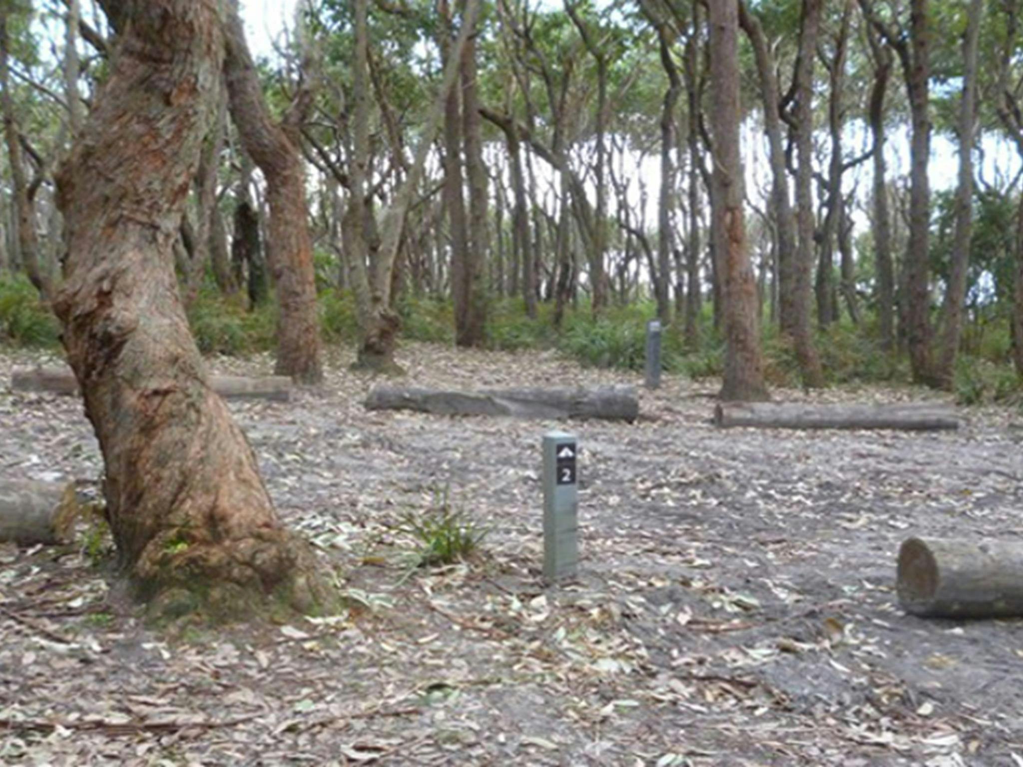 Don't mind a short walk to tent