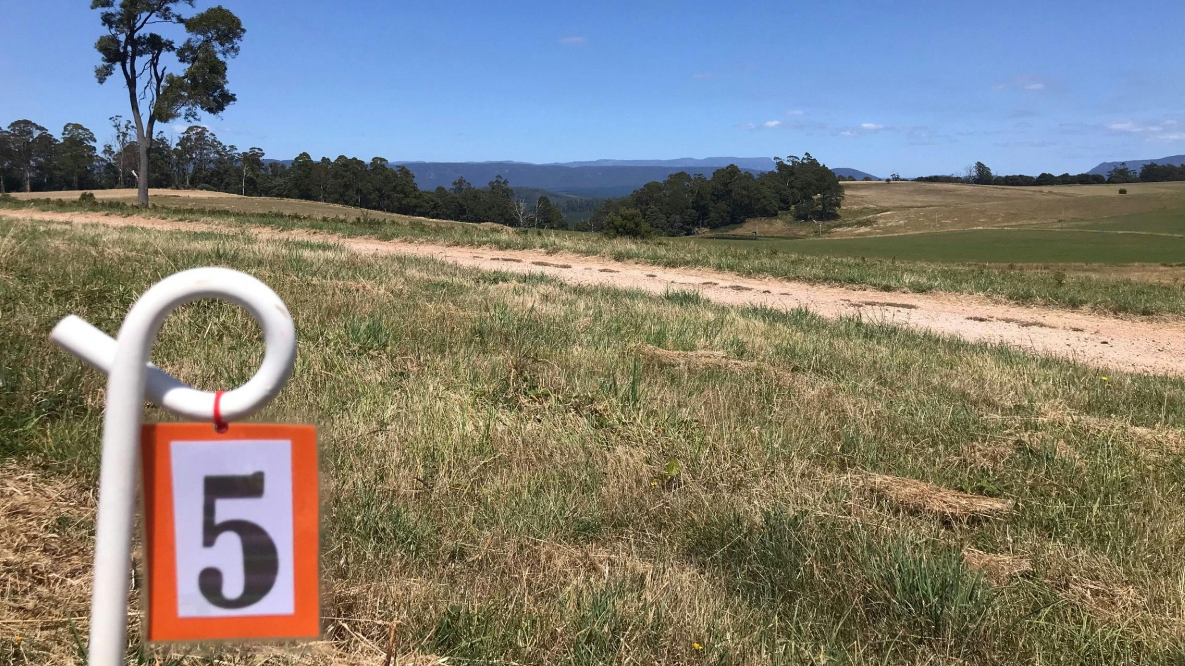 Sunridge Valley Views